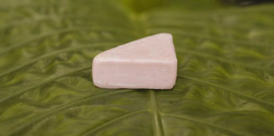 Shampoo bar